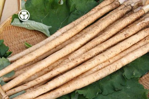 3 CÁCH NẤU ĂN NGON VỚI NGƯU BÀNG, LOẠI THỰC PHẨM VỪA BỔ DƯỠNG, VỪA DỄ LÀM