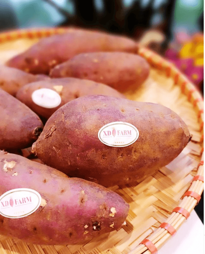 (English caption below)日本のさつまいも KING OF SWEET POTATO
