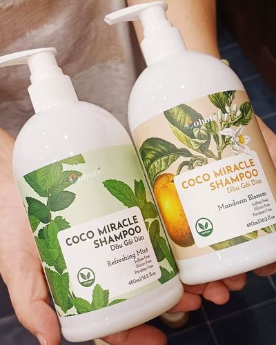 大人気 ベトナム ベンチェ発 Cobote Beaute du noix de coco から COCO MIRACLE シャンプ~ が届きました
